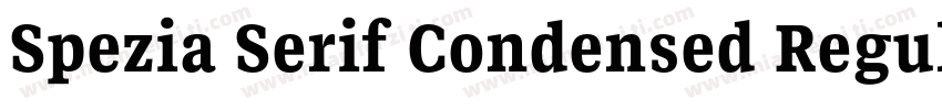 Spezia Serif Condensed Regular D字体转换